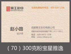 300克粉宝星雅逸