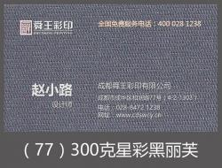 300克星彩黑丽芙