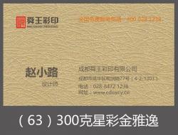 300克星彩金雅逸