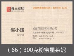 300克粉宝星莱妮