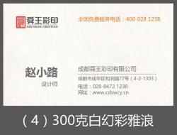 300克白幻彩雅浪