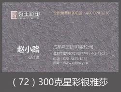 300克星彩银雅莎