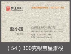 300克银宝星雅梭